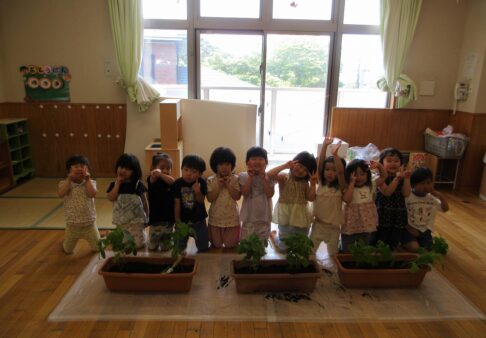 ☆４歳児　枝豆の苗植え☆