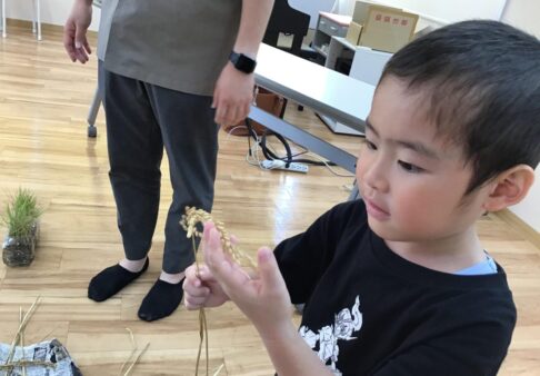 食育活動★お米