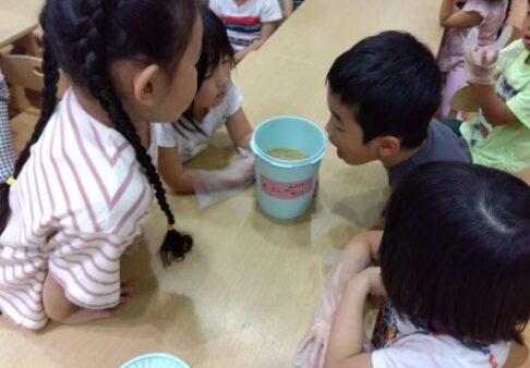 ４歳児・５歳児　味噌の経過観察
