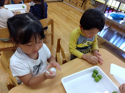 子どもたちの手に丁度いい大きさの丸い形。