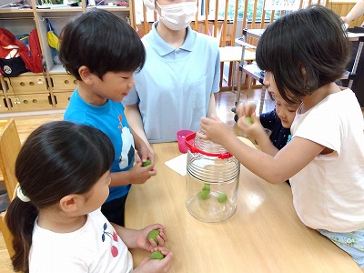 次に氷砂糖を入れます～