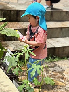 おみずあげるね