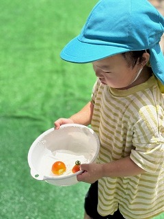 とまと
