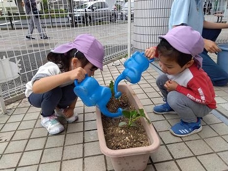 大きくなあれ♪