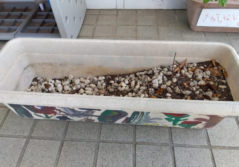お墓が完成…元気でね…