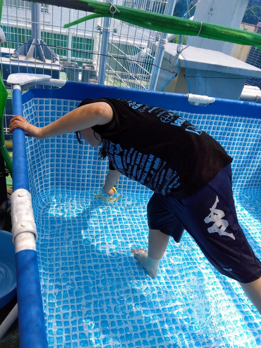 プール遊びが終わったら、栓を抜いて水を出します。プールの底の隅々まで洗い、ぬめりを取って乾かします。ビート版や玩具も、洗って乾かします。