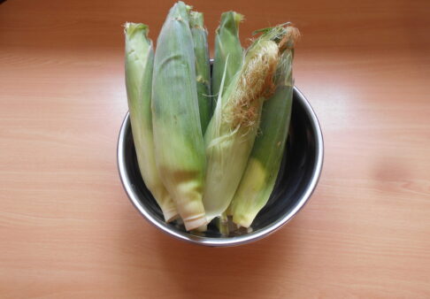 ☆2歳児　こぐま組　食育☆