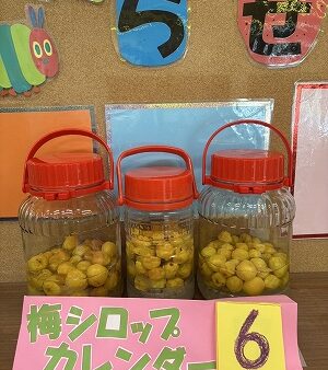 梅しごと始めました！🍹
