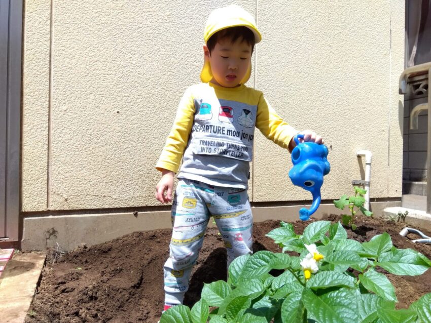 4月から水やりを始めました。
「おおきくなあれ!」と願いを込めています☆