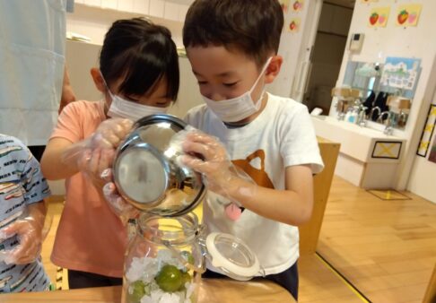 3~5歳児「梅ジュース作り」