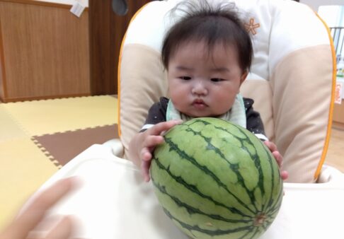 0歳児【ひよこ組】7月の様子