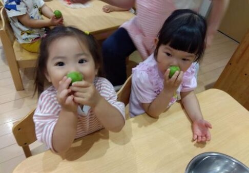 2歳児　ぱんだ組　「梅ジュースづくり♪」