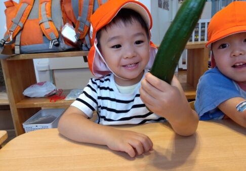 3~5歳児「みてみて！」