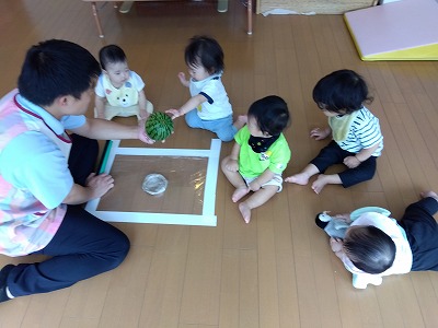 初めてのすいかわり　～０歳児～