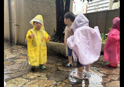 中庭で雨を楽しんだよ