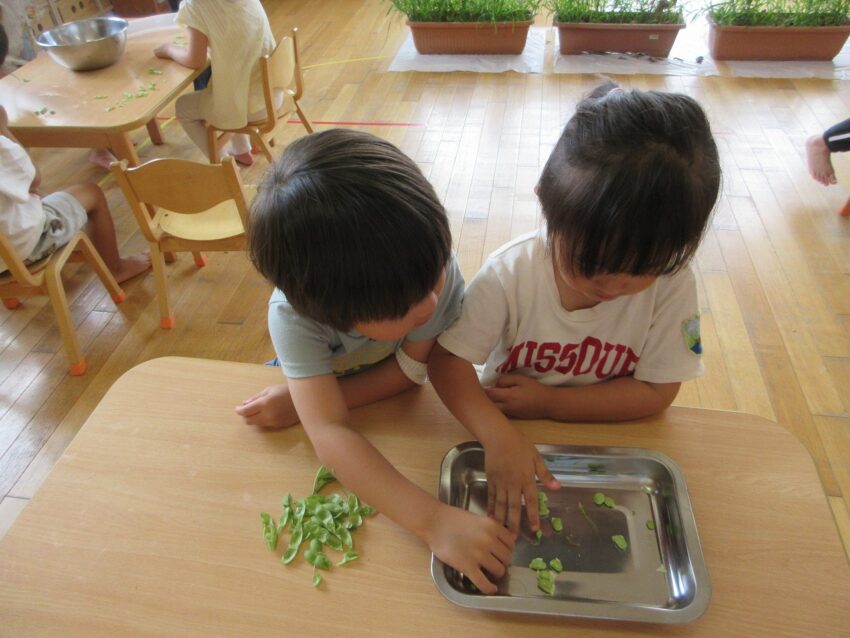 茹でる前の枝豆の感触はどうかな、、?