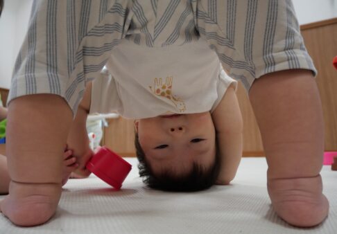 【0歳児】ひよこ組　8月の様子