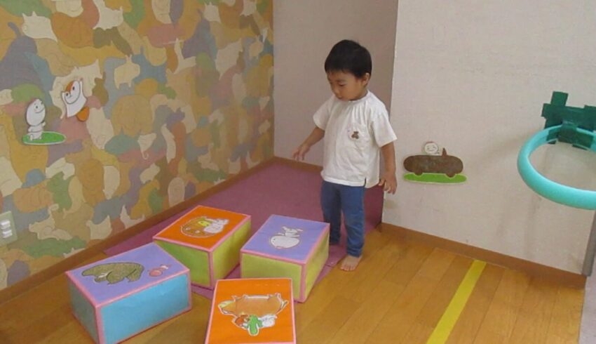 ももんちゃんのサーキット遊び!