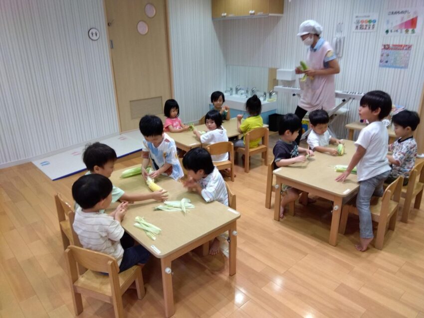 とうもろこしの皮むきをしました。
かたかったり、なかなかむけなかったりと苦戦する姿も見られましたが、少しずつコツをつかみながらみんな一生懸命チャレンジしていました。皮をむくと中からつやつやの黄色い実がでてきて、大歓声♫
実際にとうもろこしに触れ、においを感じながら、食べ物がどのように届くのかを学ぶ貴重な体験となりました。
このあと、むいたとうもろこしは給食室でゆでてもらい、おいしくいただきました🌽