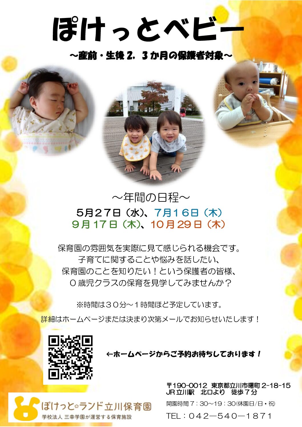 ぽけっとベビー