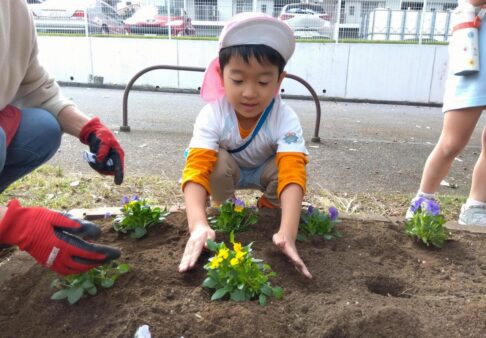 5歳児クラス「お花植えをしました♪」