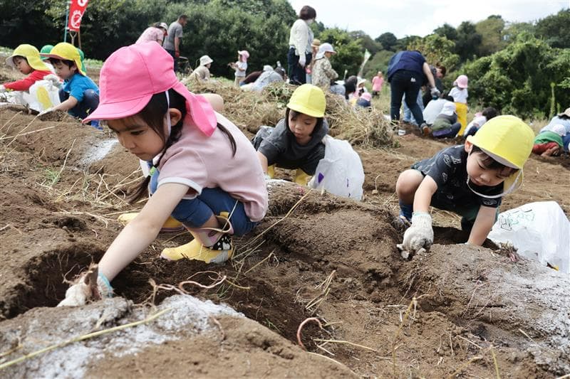出てこい出てこい!