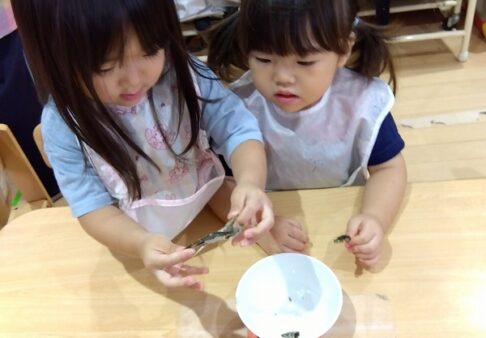 2歳児　ぱんだ組　「食育　～だし～」