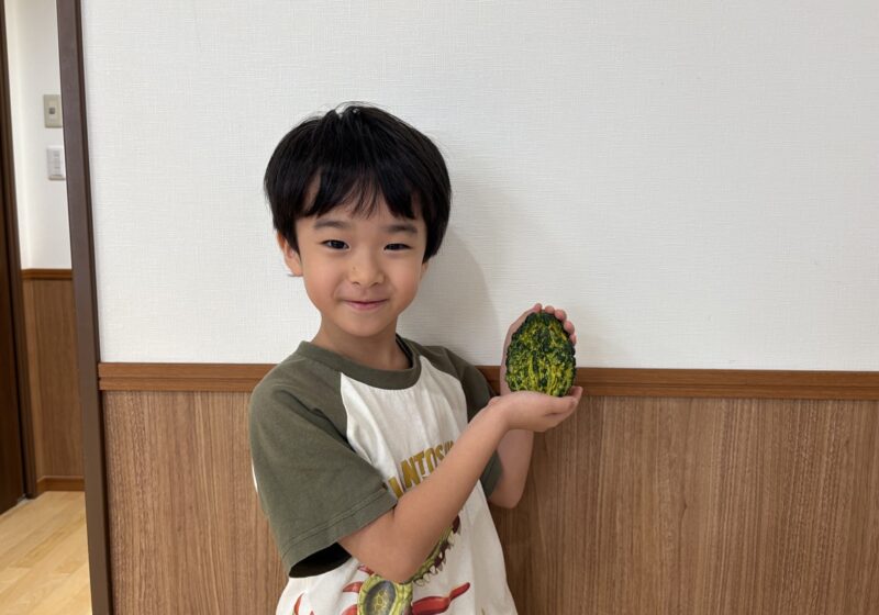 不思議なカボチャ！