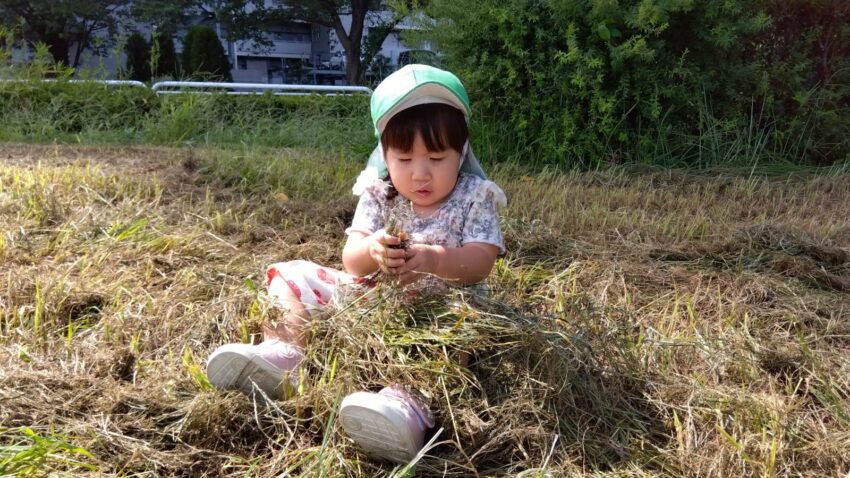 足の上にお布団のように芝を乗せて遊んでいます😳
