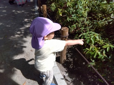 １歳児　久しぶりの散歩に行ったよ！