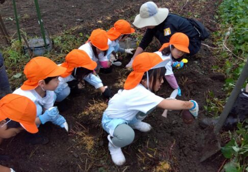 ４歳児　おいもほり♪
