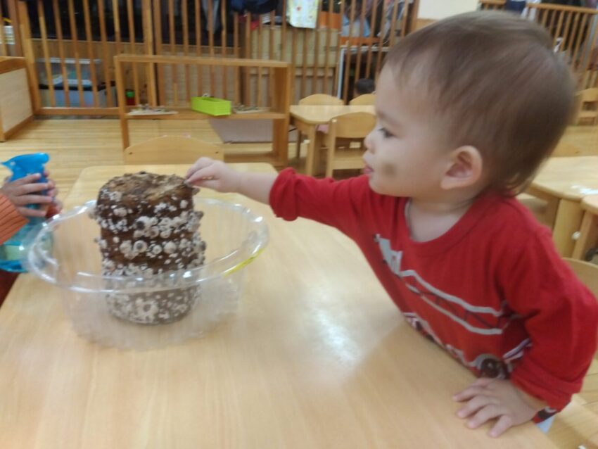 かたいかな？やわらかいかな？