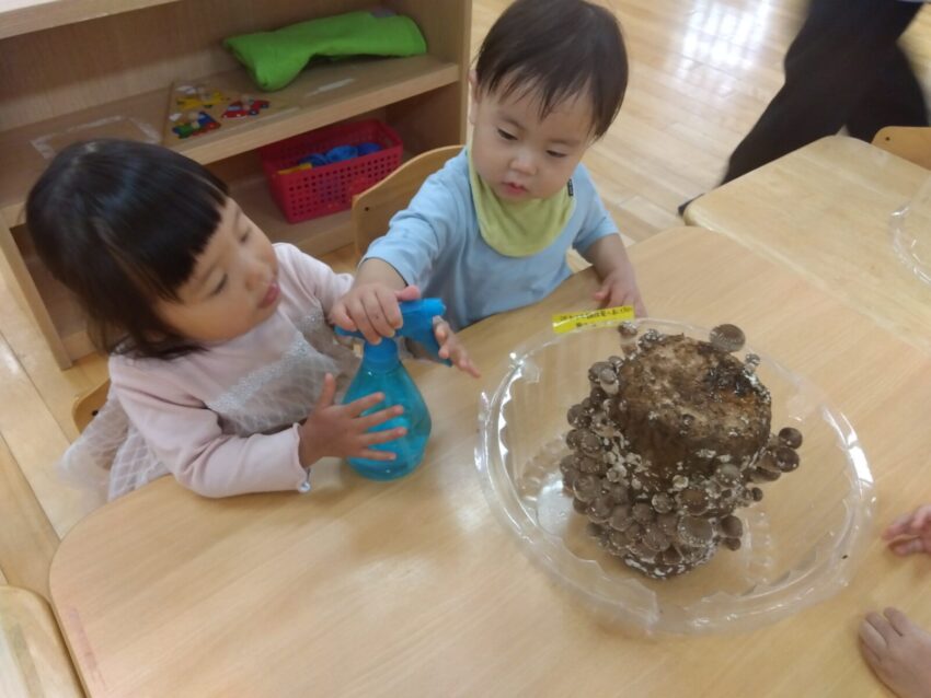 お友達と一緒にお水をあげたよ！