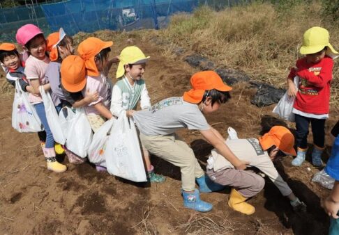 【行事】お芋ほり遠足～幼児クラス