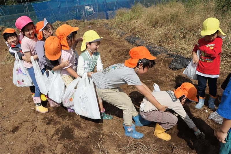 中々抜けないお芋。みんなで力を合わせて「うんとこしょ、どっこいしょ!」