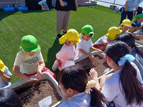 その後、屋上へ移動して1~2人ずつプランターに苗を植えました🌱
保育者は見守りながら、学生さんと子どもたちのやりとりを大切に進めました💎
みんなしっかりお話しを聞きながら楽しそうに参加していました🙌
活動の最後には、三大栄養素のクイズもあり楽しく学ぶ時間となりました😊
夏野菜に続き、これからは冬野菜の水やりをしながら、成長の過程を見守っていきたいとおもいます✨