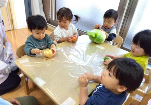 ０歳児　野菜に触れました✋