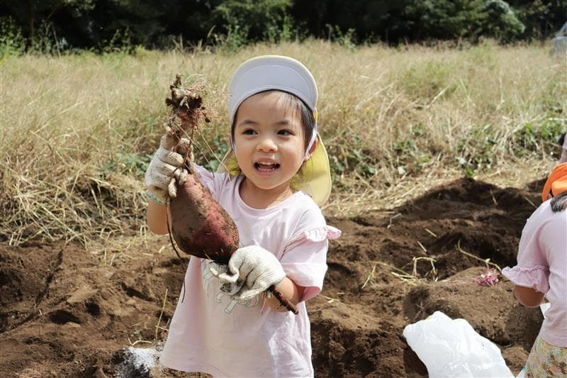 さつまいも採れた~!