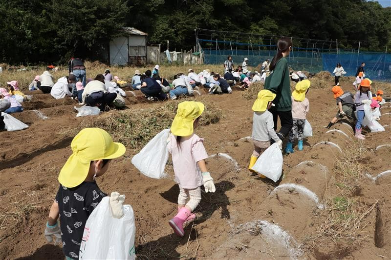 畑へ到着。ドキドキわくわく。