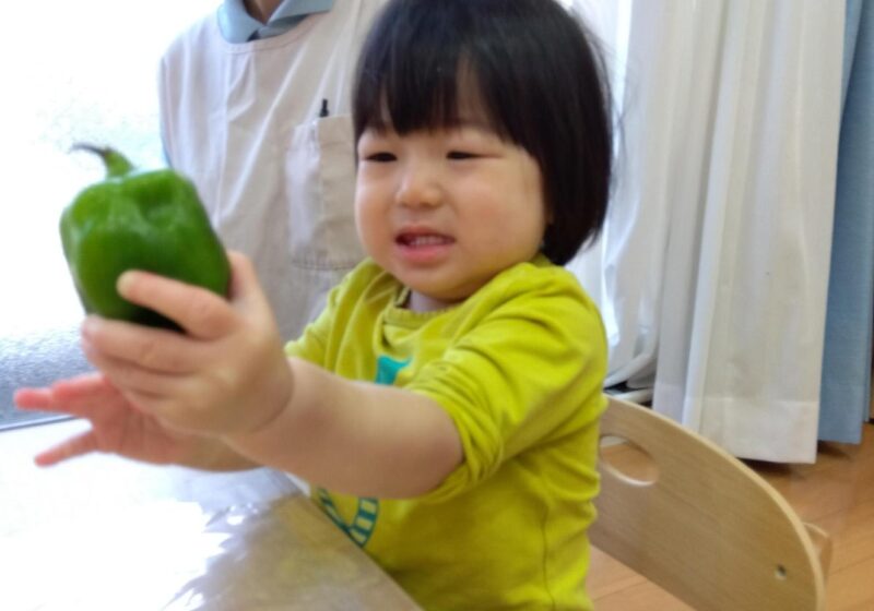 ピーマンの感触が気に入り、握ってニギニギ🥬
