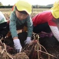 まだまだ土の中に埋まっていそう♪