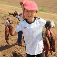 たくさん取れたよ!