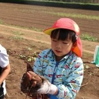 僕のお芋、大きいでしょ♪