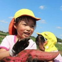 こんなに大きなお芋が掘れて嬉しい😊