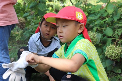 軍手をはめて準備をします。