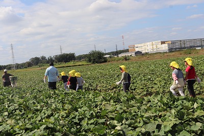 とっても広い畑に到着しました。