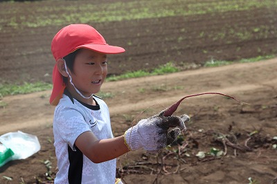 こんな形のお芋もあったよ~