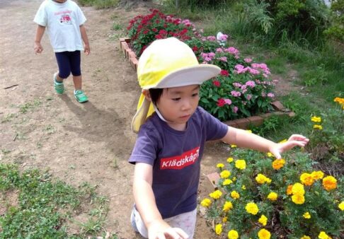 ２歳児クラス「久しぶりの公園☆」