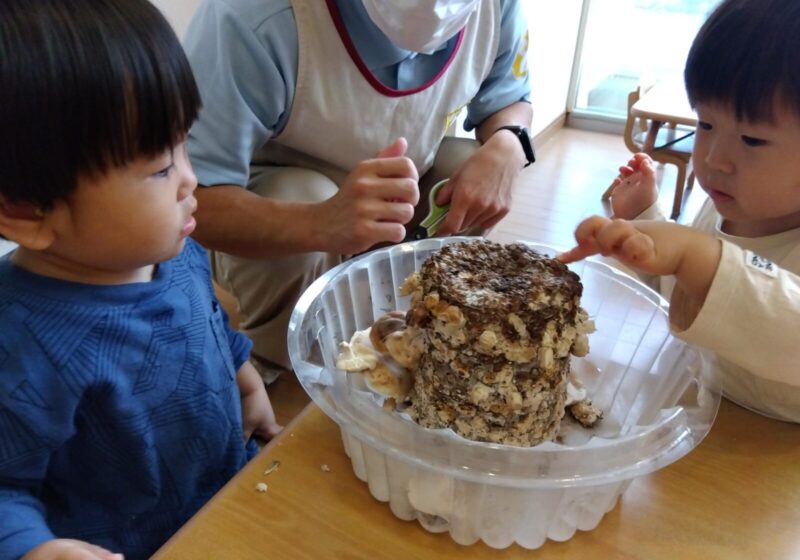 指でつんつんしてみよう