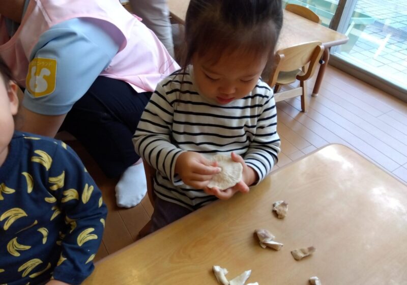 大きいきのこ触ってみたよ